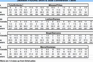 Find Your Fit! Jackson Skate Size Chart Guide How to Skateboard: A Beginner's Guide to Your First Board & Tricks Find Your Fit! Jackson Skate Size Chart Guide | How to Skateboard: A Beginner's Guide to Your First Board & Tricks