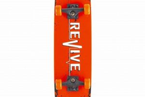 Shred Like a Pro: Skate Handboards for the Mini Skater How to Skateboard: A Beginner's Guide to Your First Board & Tricks Shred Like a Pro: Skate Handboards for the Mini Skater | How to Skateboard: A Beginner's Guide to Your First Board & Tricks