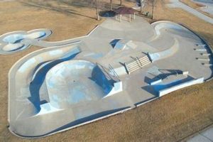 Design: Unique Skate Parks & Creative Hubs How to Skateboard: A Beginner's Guide to Your First Board & Tricks Design: Unique Skate Parks & Creative Hubs | How to Skateboard: A Beginner's Guide to Your First Board & Tricks