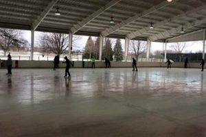 Ann Arbor's Buhr Park Open Skate: Fun on Ice! How to Skateboard: A Beginner's Guide to Your First Board & Tricks Ann Arbor's Buhr Park Open Skate: Fun on Ice! | How to Skateboard: A Beginner's Guide to Your First Board & Tricks