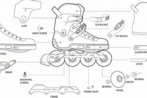 Skater's Guide: Inline Skate Parts & Replacements How to Skateboard: A Beginner's Guide to Your First Board & Tricks Skater's Guide: Inline Skate Parts & Replacements | How to Skateboard: A Beginner's Guide to Your First Board & Tricks