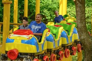 Roll into Fun: Kentucky Kingdom Roller Skater Guide! How to Skateboard: A Beginner's Guide to Your First Board & Tricks Roll into Fun: Kentucky Kingdom Roller Skater Guide! | How to Skateboard: A Beginner's Guide to Your First Board & Tricks