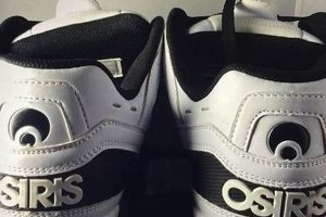 Best Skate Shoes Fat Tongue: Style & Protection | How to Skateboard: A Beginner's Guide to Your First Board & Tricks