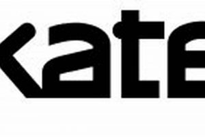 Mastering Skate 3's Big Black: Challenges & Tricks How to Skateboard: A Beginner's Guide to Your First Board & Tricks Mastering Skate 3's Big Black: Challenges & Tricks | How to Skateboard: A Beginner's Guide to Your First Board & Tricks