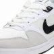 Buy Nike SB Alleyoop White/Black Skate Shoes: CJ0882-100 Size 12 | How to Skateboard: A Beginner's Guide to Your First Board & Tricks