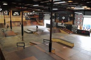 Your Guide to Skate Shops Tampa | Local & Best How to Skateboard: A Beginner's Guide to Your First Board & Tricks Your Guide to Skate Shops Tampa | Local & Best | How to Skateboard: A Beginner's Guide to Your First Board & Tricks
