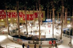 Best Ice Skate Rink San Jose: Your Guide & More! How to Skateboard: A Beginner's Guide to Your First Board & Tricks Best Ice Skate Rink San Jose: Your Guide & More! | How to Skateboard: A Beginner's Guide to Your First Board & Tricks