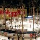 Best Ice Skate Rink San Jose: Your Guide & More! | How to Skateboard: A Beginner's Guide to Your First Board & Tricks
