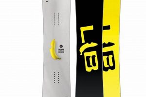 Skater's Guide: Lib Tech Skate Banana Review & Tips! How to Skateboard: A Beginner's Guide to Your First Board & Tricks Skater's Guide: Lib Tech Skate Banana Review & Tips! | How to Skateboard: A Beginner's Guide to Your First Board & Tricks