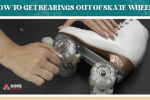 Skater's Guide: How to Take Out Skate Bearings + Tips How to Skateboard: A Beginner's Guide to Your First Board & Tricks Skater's Guide: How to Take Out Skate Bearings + Tips | How to Skateboard: A Beginner's Guide to Your First Board & Tricks