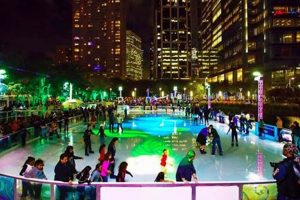 Best Skate Rink Houston Guide: Find Your Perfect Rink How to Skateboard: A Beginner's Guide to Your First Board & Tricks Best Skate Rink Houston Guide: Find Your Perfect Rink | How to Skateboard: A Beginner's Guide to Your First Board & Tricks
