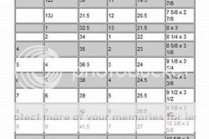 Lake Placid Skates Size Chart: Find Your Perfect Fit! How to Skateboard: A Beginner's Guide to Your First Board & Tricks Lake Placid Skates Size Chart: Find Your Perfect Fit! | How to Skateboard: A Beginner's Guide to Your First Board & Tricks