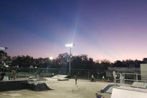 Discover Fossil Park Skate Park: Thrills in [Location]! | How to Skateboard: A Beginner's Guide to Your First Board & Tricks