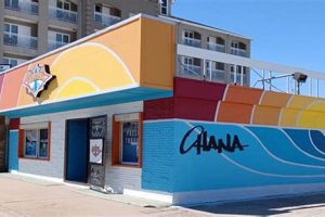 Ride Ohana Surf and Skate Galveston: Gear & More How to Skateboard: A Beginner's Guide to Your First Board & Tricks Ride Ohana Surf and Skate Galveston: Gear & More | How to Skateboard: A Beginner's Guide to Your First Board & Tricks
