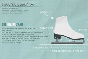 Beginner's Guide: All Types of Skates for Every Skater! How to Skateboard: A Beginner's Guide to Your First Board & Tricks Beginner's Guide: All Types of Skates for Every Skater! | How to Skateboard: A Beginner's Guide to Your First Board & Tricks