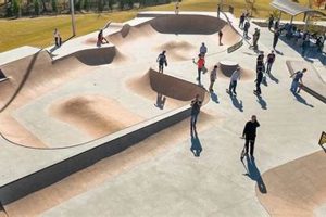 Best Garland TX Skate Parks: Locations & Tips! How to Skateboard: A Beginner's Guide to Your First Board & Tricks Best Garland TX Skate Parks: Locations & Tips! | How to Skateboard: A Beginner's Guide to Your First Board & Tricks
