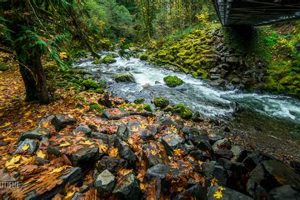 Skate Creek Road Washington: Skater's Scenic Route Guide How to Skateboard: A Beginner's Guide to Your First Board & Tricks Skate Creek Road Washington: Skater's Scenic Route Guide | How to Skateboard: A Beginner's Guide to Your First Board & Tricks