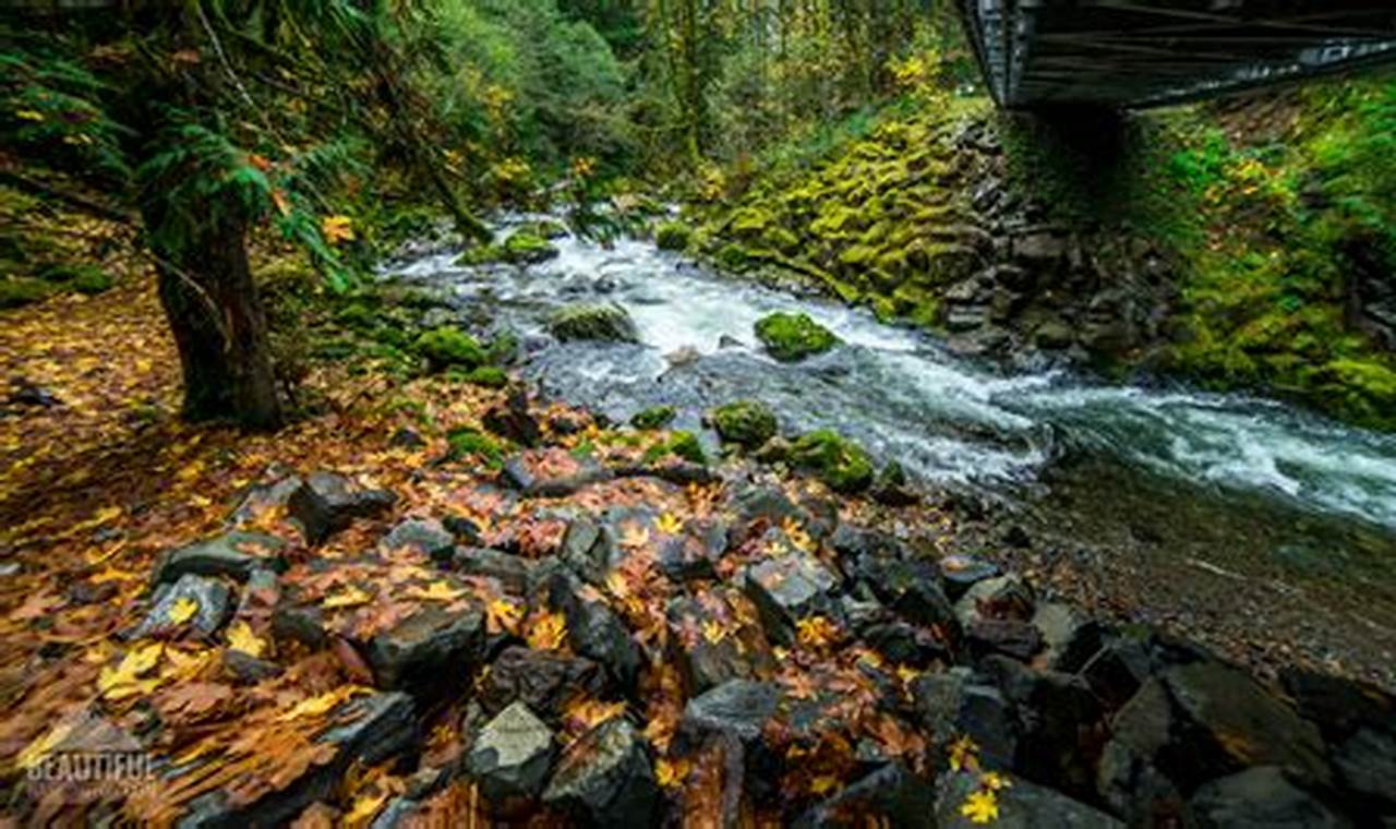 Skate Creek Road Washington: Skater's Scenic Route Guide How to Skateboard: A Beginner's Guide to Your First Board & Tricks Skate Creek Road Washington: Skater's Scenic Route Guide | How to Skateboard: A Beginner's Guide to Your First Board & Tricks