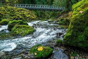 Skater's Guide to Skate Creek Road WA: Epic WA Spot! How to Skateboard: A Beginner's Guide to Your First Board & Tricks Skater's Guide to Skate Creek Road WA: Epic WA Spot! | How to Skateboard: A Beginner's Guide to Your First Board & Tricks