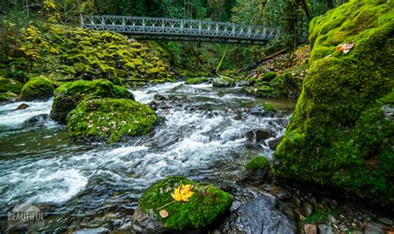 Skater's Guide to Skate Creek Road WA: Epic WA Spot! How to Skateboard: A Beginner's Guide to Your First Board & Tricks Skater's Guide to Skate Creek Road WA: Epic WA Spot! | How to Skateboard: A Beginner's Guide to Your First Board & Tricks