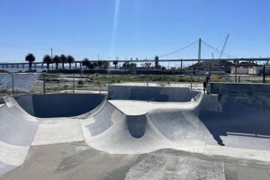 Skate Treasure Island: Bay's Best Skate Park Fun! How to Skateboard: A Beginner's Guide to Your First Board & Tricks Skate Treasure Island: Bay's Best Skate Park Fun! | How to Skateboard: A Beginner's Guide to Your First Board & Tricks