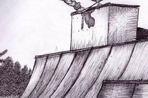Skater's Cool Skate Drawings: Art & Style How to Skateboard: A Beginner's Guide to Your First Board & Tricks Skater's Cool Skate Drawings: Art & Style | How to Skateboard: A Beginner's Guide to Your First Board & Tricks