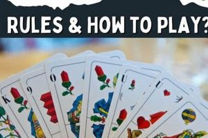 Learn to Play Skat | Rules, Tips & Strategy How to Skateboard: A Beginner's Guide to Your First Board & Tricks Learn to Play Skat | Rules, Tips & Strategy | How to Skateboard: A Beginner's Guide to Your First Board & Tricks