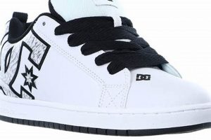 DC Court Graffik: Best Skate Shoes for Men + Deals! | How to Skateboard: A Beginner's Guide to Your First Board & Tricks