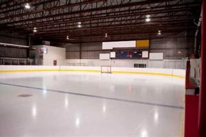 Ice Skating: Find Your Ice Skate Rental Cost + Tips | How to Skateboard: A Beginner's Guide to Your First Board & Tricks