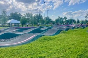 Best Skate Parks in Orlando: Local Hotspots! | How to Skateboard: A Beginner's Guide to Your First Board & Tricks