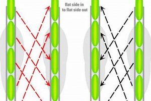 Pro Tips: Inline Skate Wheel Rotation for Longer Life! | How to Skateboard: A Beginner's Guide to Your First Board & Tricks