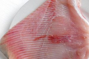 Decoding Skate Wing Taste: A Seafood Flavor Guide How to Skateboard: A Beginner's Guide to Your First Board & Tricks Decoding Skate Wing Taste: A Seafood Flavor Guide | How to Skateboard: A Beginner's Guide to Your First Board & Tricks