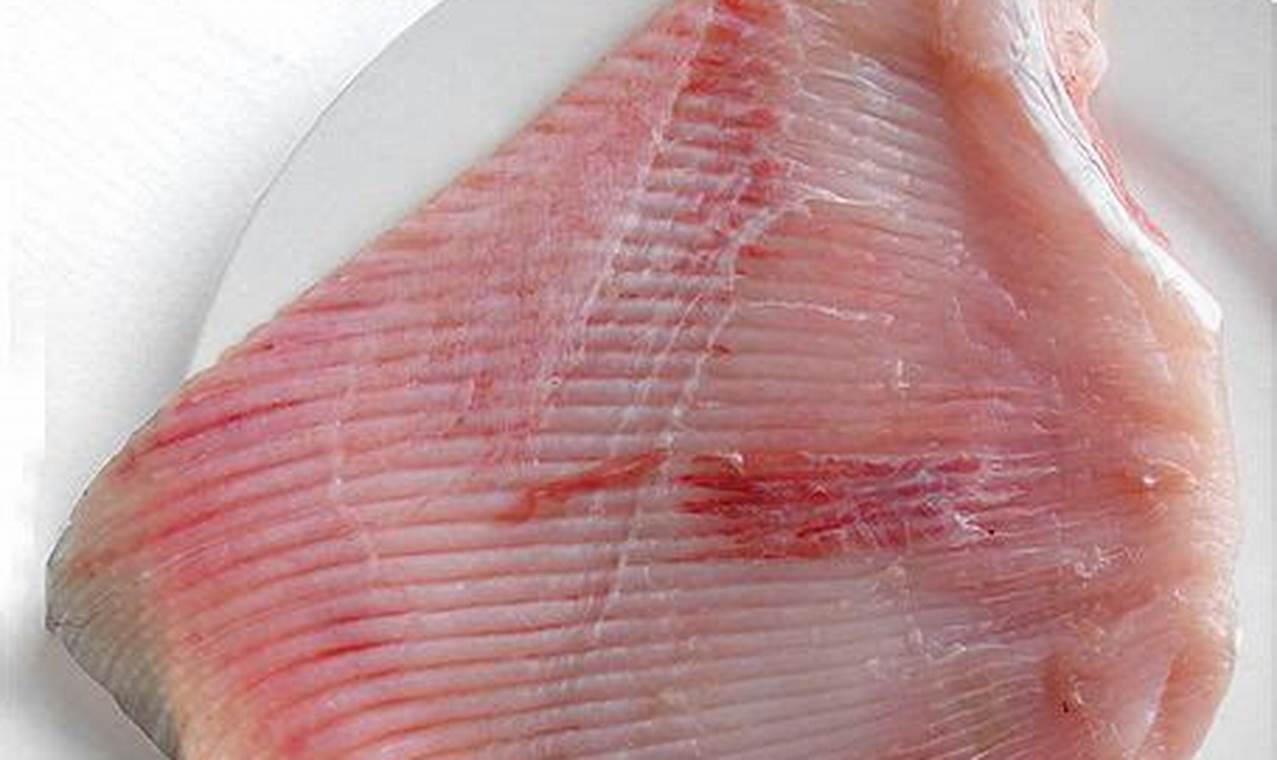 Decoding Skate Wing Taste: A Seafood Flavor Guide How to Skateboard: A Beginner's Guide to Your First Board & Tricks Decoding Skate Wing Taste: A Seafood Flavor Guide | How to Skateboard: A Beginner's Guide to Your First Board & Tricks