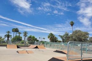 Local Arizona Skate Shops Near You: Find Gear & More How to Skateboard: A Beginner's Guide to Your First Board & Tricks Local Arizona Skate Shops Near You: Find Gear & More | How to Skateboard: A Beginner's Guide to Your First Board & Tricks
