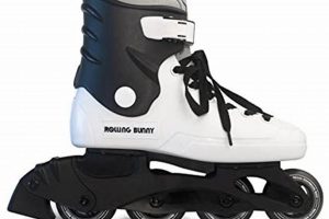 Cute Rolling Bunny Skates Fun + Safe! How to Skateboard: A Beginner's Guide to Your First Board & Tricks Cute Rolling Bunny Skates Fun + Safe! | How to Skateboard: A Beginner's Guide to Your First Board & Tricks