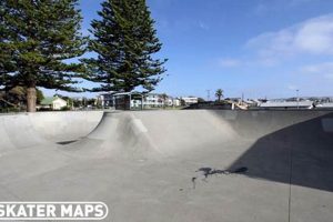 Your Guide to Harbor Skate Park Fun & Safety Tips | How to Skateboard: A Beginner's Guide to Your First Board & Tricks