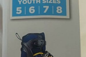 Best Schwinn Inline Skates for Skaters: Reviews & Guide How to Skateboard: A Beginner's Guide to Your First Board & Tricks Best Schwinn Inline Skates for Skaters: Reviews & Guide | How to Skateboard: A Beginner's Guide to Your First Board & Tricks