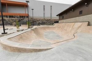 Spokane Skate Parks: Your Guide to Spokane's Raddest Spots! | How to Skateboard: A Beginner's Guide to Your First Board & Tricks