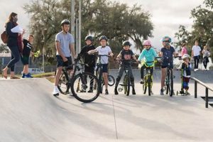 Ocala Skaters' Way: Skate Away Ocala Fun! | How to Skateboard: A Beginner's Guide to Your First Board & Tricks