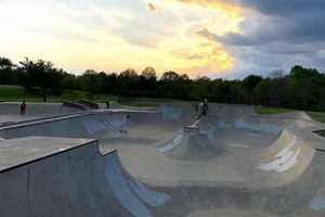 Visit Berry Hill Skate Park: Your Ultimate Guide + Tips | How to Skateboard: A Beginner's Guide to Your First Board & Tricks