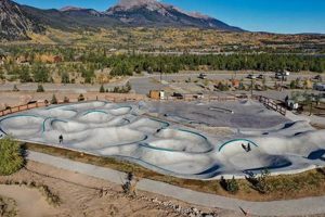 Visit Frisco Skate Park: Guide &amp; Reviews for Skaters | How to Skateboard: A Beginner's Guide to Your First Board & Tricks