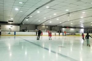 Fairfax Ice Arena Public Skate: Enjoy the Ice Today! | How to Skateboard: A Beginner's Guide to Your First Board & Tricks