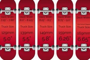 Find Your Perfect Fit: Skate Truck Size Chart Guide | How to Skateboard: A Beginner's Guide to Your First Board & Tricks