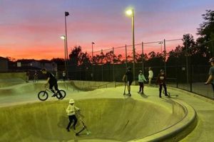 The Harvard Skate Park Guide: Tips & More | How to Skateboard: A Beginner's Guide to Your First Board & Tricks