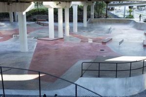 Best Skate Park in Miami: Ride the South Florida Style! | How to Skateboard: A Beginner's Guide to Your First Board & Tricks