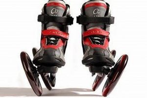 Cesar Millan Skates: Dog Whisperer on Wheels! How to Skateboard: A Beginner's Guide to Your First Board & Tricks Cesar Millan Skates: Dog Whisperer on Wheels! | How to Skateboard: A Beginner's Guide to Your First Board & Tricks