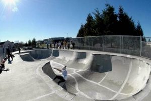 Your Guide to Sumner Skate & Bike Park | Tricks & Tips How to Skateboard: A Beginner's Guide to Your First Board & Tricks Your Guide to Sumner Skate & Bike Park | Tricks & Tips | How to Skateboard: A Beginner's Guide to Your First Board & Tricks