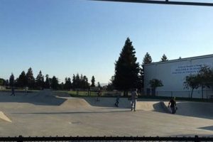 Your Guide to Santa Clara Skate Park Fun & Tricks | How to Skateboard: A Beginner's Guide to Your First Board & Tricks