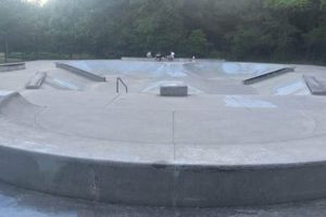 Best Williamsburg VA Skate Park Spots + Guide How to Skateboard: A Beginner's Guide to Your First Board & Tricks Best Williamsburg VA Skate Park Spots + Guide | How to Skateboard: A Beginner's Guide to Your First Board & Tricks