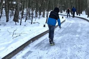 Glide & Explore: Ice Skate Through The Woods Adventure How to Skateboard: A Beginner's Guide to Your First Board & Tricks Glide & Explore: Ice Skate Through The Woods Adventure | How to Skateboard: A Beginner's Guide to Your First Board & Tricks